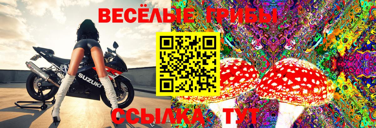 Саянск  Псилоцибиновые грибы MAGIC MUSHROOMS  Вход с VPN 