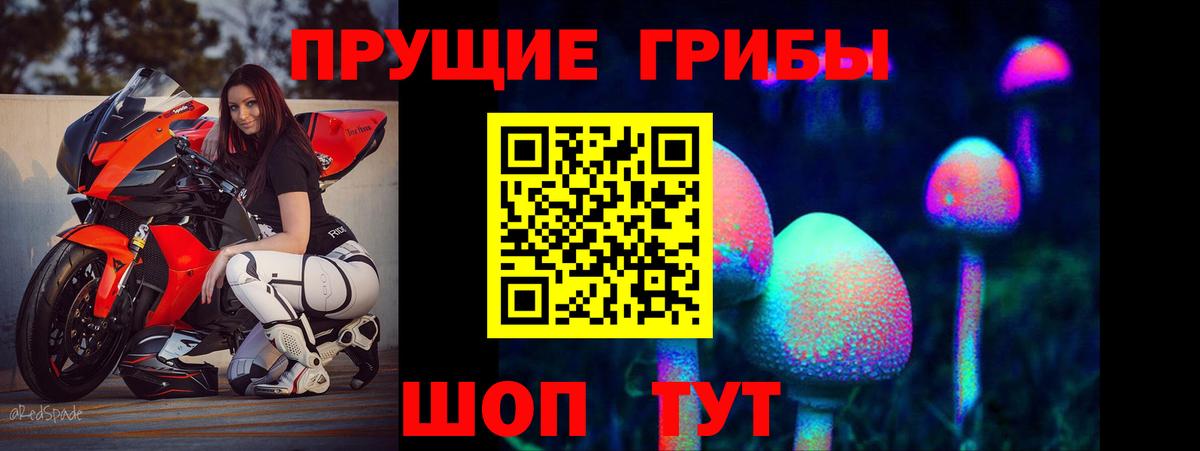 Псилоцибиновые грибы мухоморы Саянск